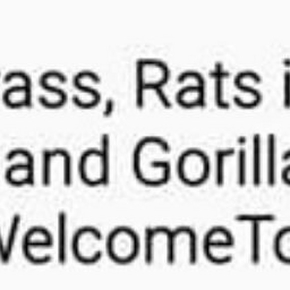 Meet your Posher, Shawn - Picture 1 of 1